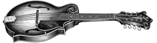 Vintage Guitar